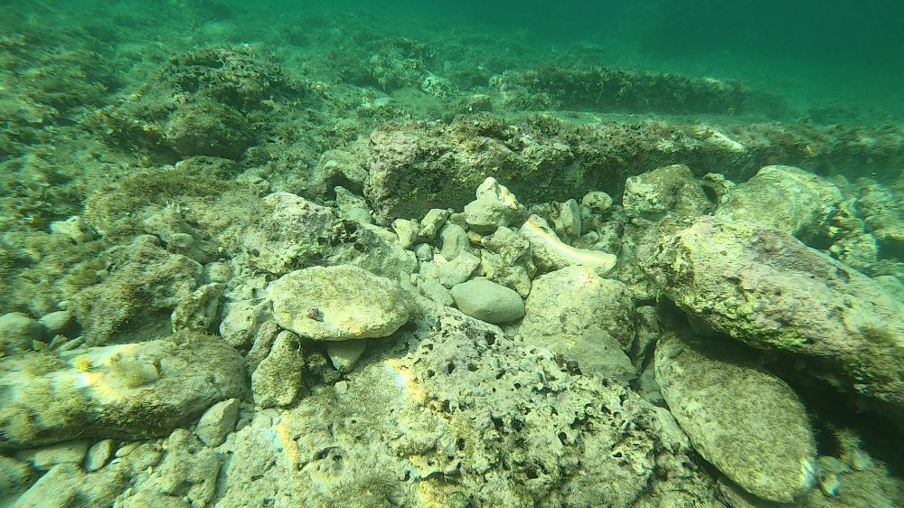 Abbildung 3b: Durch Tauchgänge und Sonaraufnahmen der SeaCat konnte die Ausdehnung der Siedlung Roca Vecchia erkannt werden. Die Taucher konnten auf dem Meeresgrund Mauerreste beziehungsweise Fundamente identifizieren. Die brauen Streifen zeigen die Untersuchungsflächen der Seacat. Wie man erkennt (durch die grüne Linie markiert), ist das heute über Wasser sichtbare Gebiet ehemals größer gewesen und unter Wasser  konnten Spuren der Ausdehnung der Siedlung erkannt werden. © Landesamt für Denkmalpflege und Archäologie Sachsen-Anhalt, Sven Thomas. 