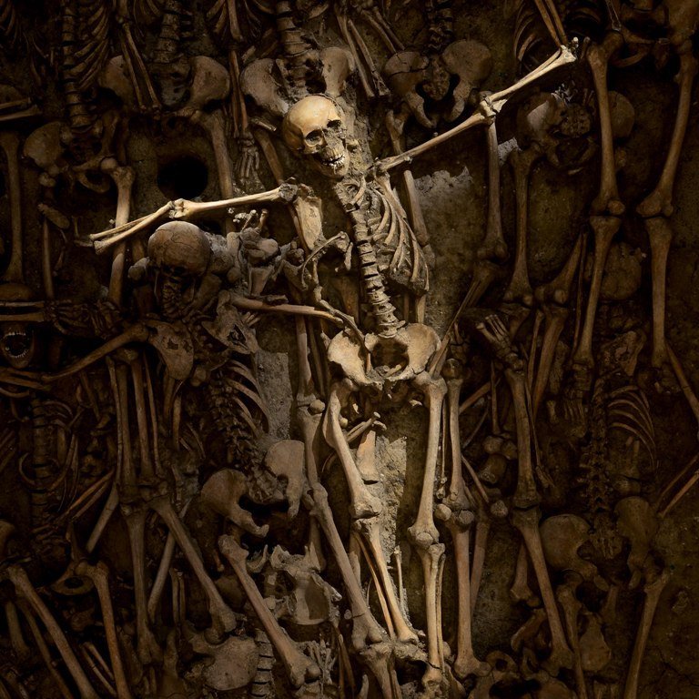 Ausschnitt aus dem Massengrab von Lützen. © Landesamt für Denkmalpflege und Archäologie Sachsen-Anhalt, Juraj Lipták.