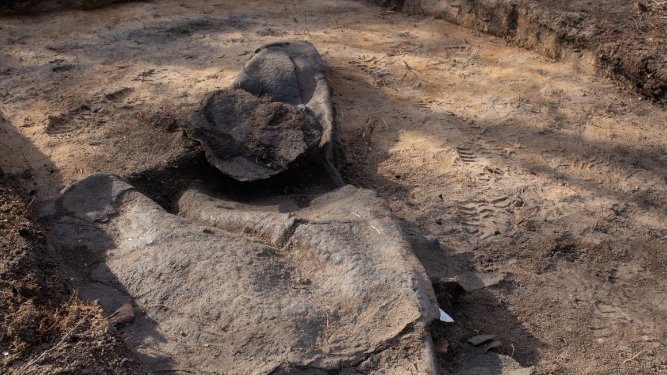 Dachpappenüberrest und Porzellanfragmente im Randbereich einer Baracke des Konzentrations-Außenlagers Genthin. © Landesamt für Denkmalpflege und Archäologie Sachsen-Anhalt, Katharina Hindelang.
