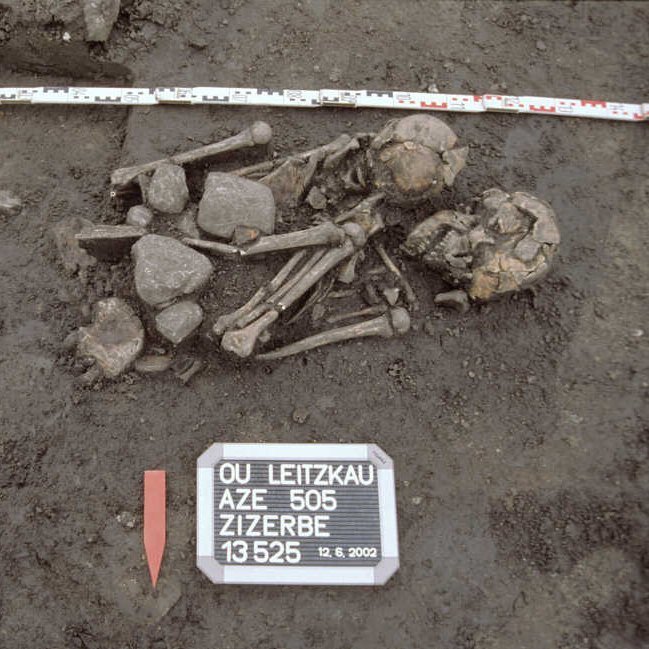 Abbildung 5: Doppelbestattung aus Leitzkau. © Landesamt für Denkmalpflege und Archäologie Sachsen-Anhalt.