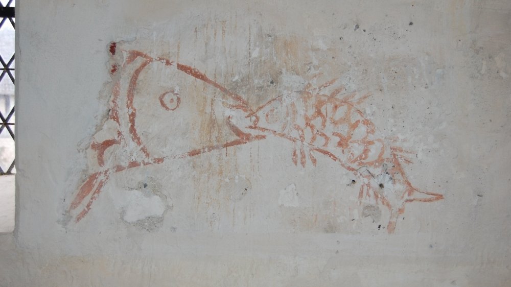 Kraatz, Dorfkirche, gotische Zeichnung von zwei Fischen an der Nordwand des Kirchenraumes. © Landesamt für Denkmalpflege und Archäologie Sachsen-Anhalt, Gunar Preuß.