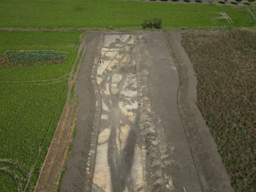Abbildung 1: Übersicht auf Schnitt 1 mit Grabensystem (nach Norden) © Landesamt für Denkmalpflege und Archäologie Sachsen-Anhalt, Markus Fietzeck. 