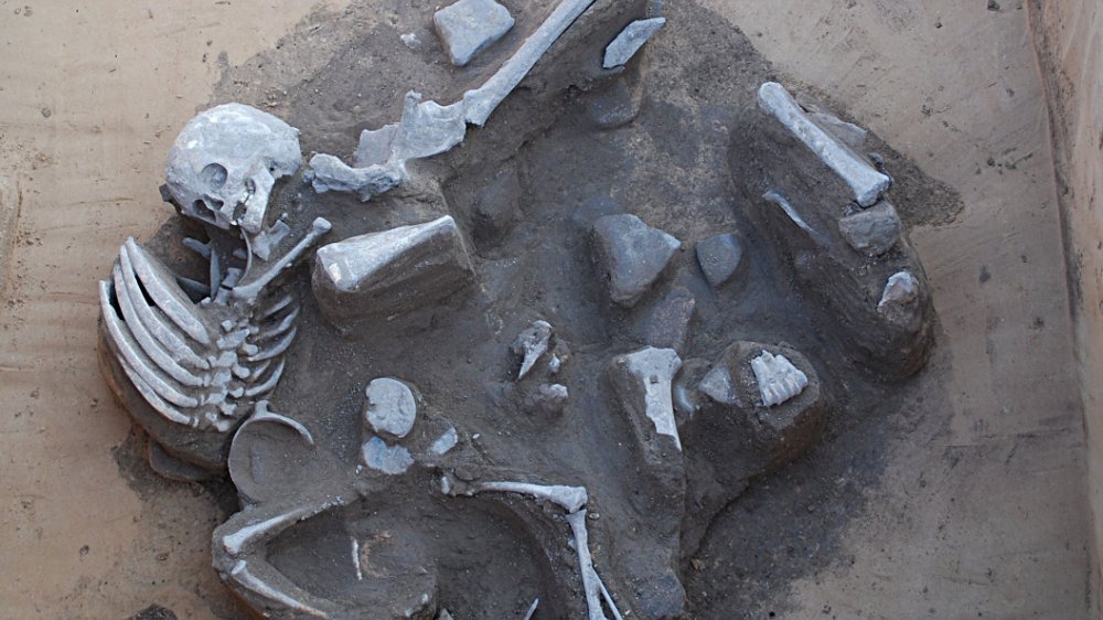Abbildung 10: Menschliche Skelettteile in einer Siedlungsgrube der späten Bronzezeit bei Karsdorf. © Landesamt für Denkmalpflege und Archäologie Sachsen-Anhalt, S. Loew.