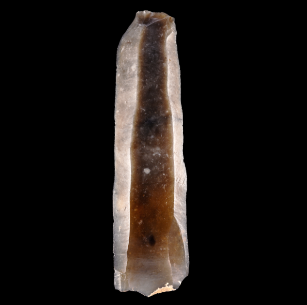 Abbildung 7: Die 8,5 Zentimeter lange und 2,2 Zentimeter breite Silexklinge lag im zerstörten Grabbereich und somit im Becken- oder Beinbereich des Verstorbenen. © Landesamt für Denkmalpflege und Archäologie Sachsen-Anhalt, K. Bentele. Abbildung 7: Die 8,5 Zentimeter lange und 2,2 Zentimeter breite Silexklinge lag im zerstörten Grabbereich und somit im Becken- oder Beinbereich des Verstorbenen. © Landesamt für Denkmalpflege und Archäologie Sachsen-Anhalt, K. Bentele.