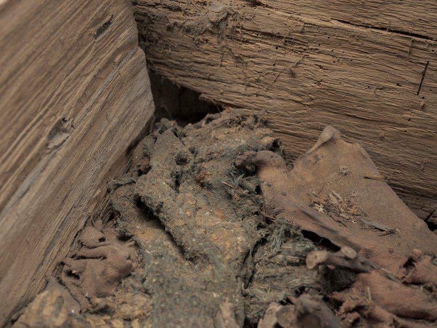 Blick in das Innere des Holzsargs. Deutlich erkennbar sind die Überreste qualitätvoller Textilien. © Landesamt für Denkmalpflege und Archäologie Sachsen-Anhalt, Andrea Hörentrup.