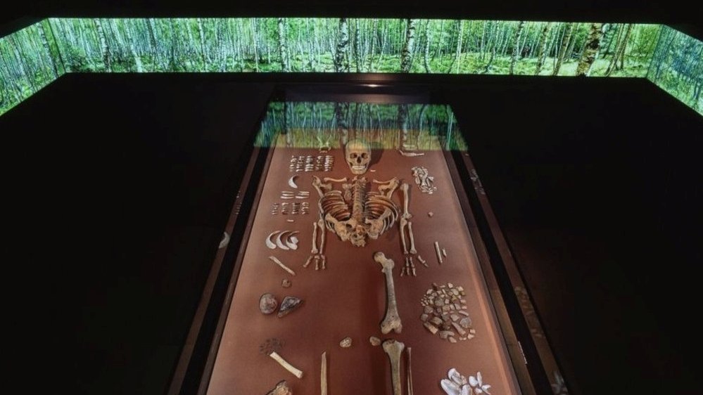 Präsentation der Schamanin von Bad Dürrenberg in der Dauerausstellung des Landesmuseums für Vorgeschichte. © Landesamt für Denkmalpflege und Archäologie Sachsen-Anhalt, Juraj Lipták.