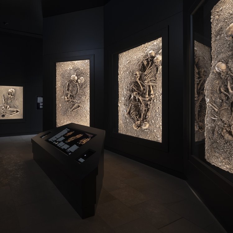 Ausstellungsimpression: Die Gräber von Eulau. © Landesamt für Denkmalpflege und Archäologie Sachsen-Anhalt, Michel Klehm.