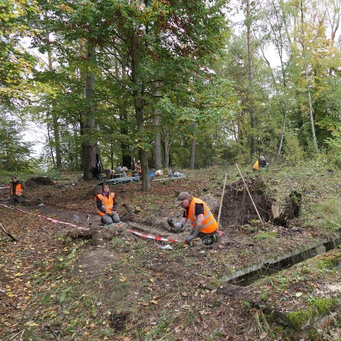 Gemeinsame Arbeit an einem gezielt angelegten Sondageschnitt im Bereich eines Barackenfundaments im Konzentrations-Außenlager bei Walbeck. © Landesamt für Denkmalpflege und Archäologie Sachsen-Anhalt, Anna Swieder.
