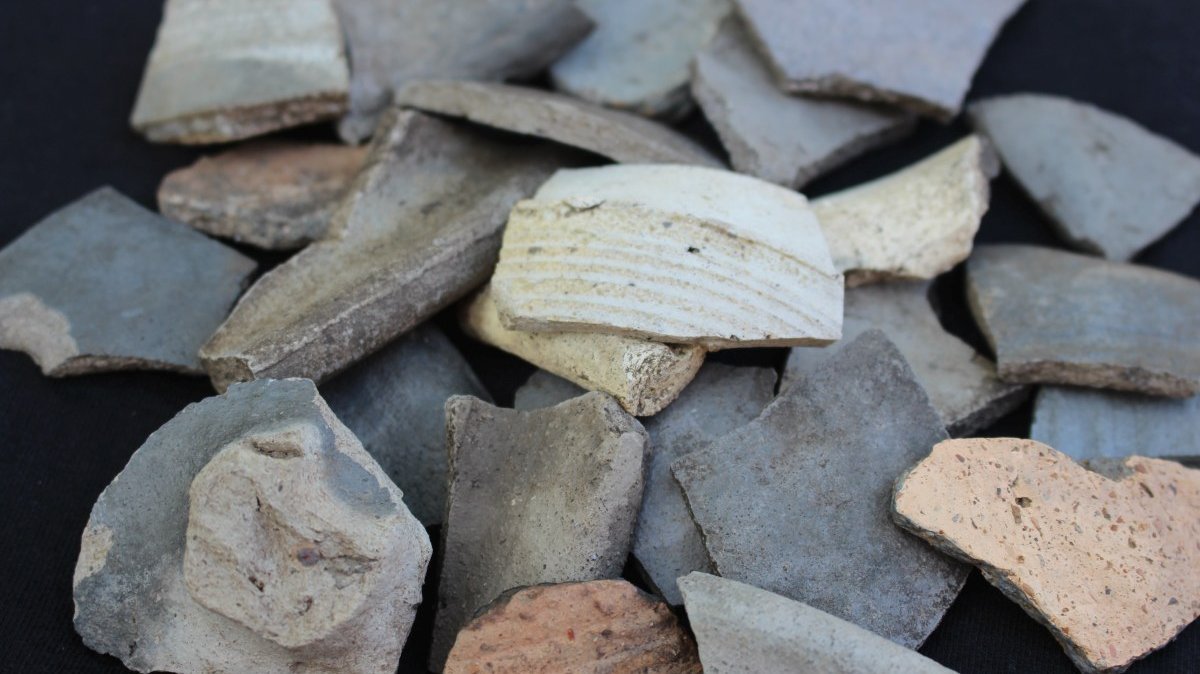 Zerscherbte Gebrauchskeramik von Irdenware und Steinzeug aus dem Bereich des Steinkellers. © Martin-Luther-Universität Halle-Wittenberg, Anna Bartrow