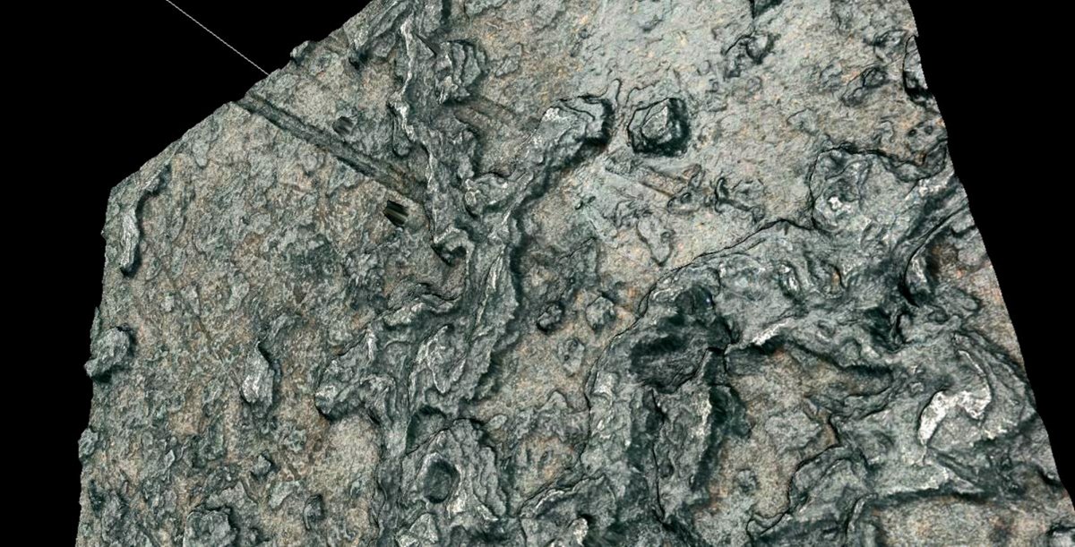 Abbildung 6: Mikroskopaufnahme der Tenoritauflagerungen, die deutlich einen älteren Kratzer überlagern. © Landesamt für Denkmalpflege und Archäologie Sachsen-Anhalt, Christian-Heinrich Wunderlich.