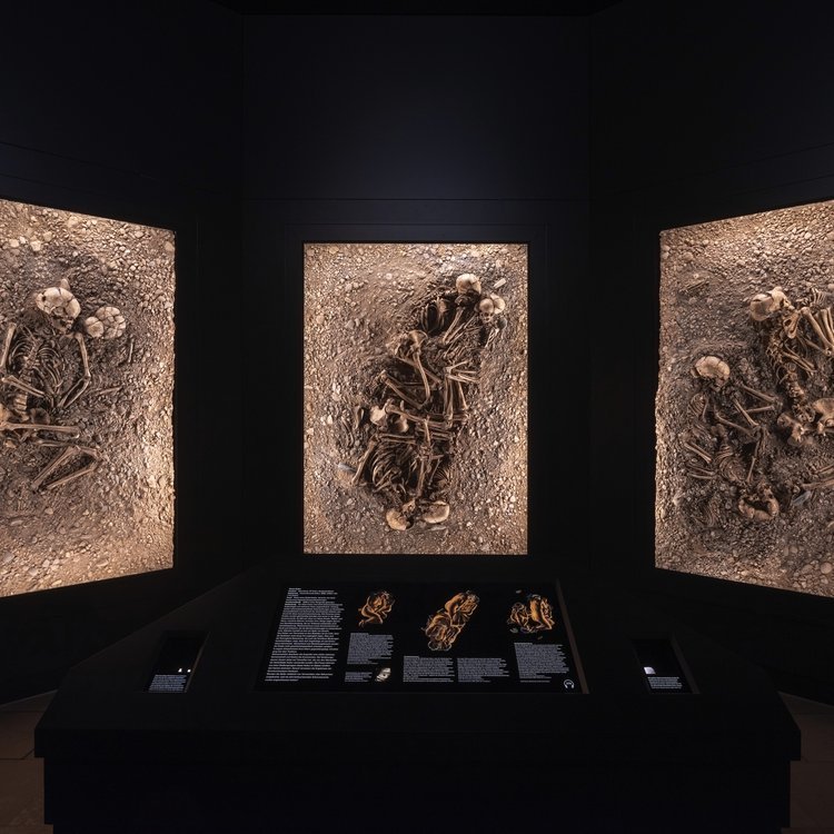 Ausstellungsimpression: Die Gräber von Eulau. © Landesamt für Denkmalpflege und Archäologie Sachsen-Anhalt, Michel Klehm.