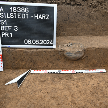 © Landesamt für Denkmalpflege und Archäologie Sachsen-Anhalt, Christian Pscheidl. © Landesamt für Denkmalpflege und Archäologie Sachsen-Anhalt, Christian Pscheidl.