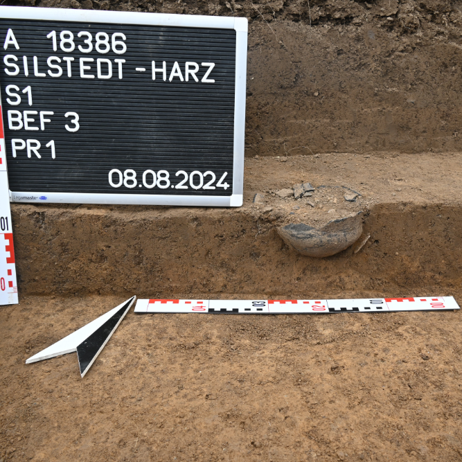 Abbildung 4: Das zweite der beiden Urnengräber, hier mit Eisenaxt als Beigabe. © Landesamt für Denkmalpflege und Archäologie Sachsen-Anhalt, Christian Pscheidl.