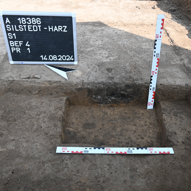 Abbildung 3: Profil der Leichenbrandschüttung von Befund 4. © Landesamt für Denkmalpflege und Archäologie Sachsen-Anhalt, Christian Pscheidl.