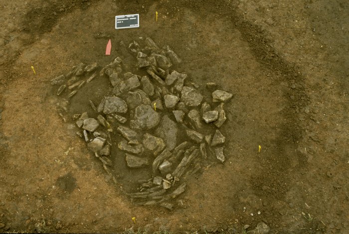 Abbildung 1: Blick auf die Grabstelle. © Landesamt für Denkmalpflege und Archäologie Sachsen-Anhalt. 