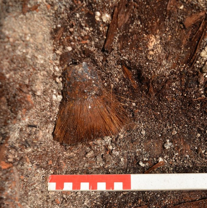 Abbildung 4: Waschpinsel in originaler Fundlage. © Landesamt für Denkmalpflege und Archäologie Sachsen-Anhalt.